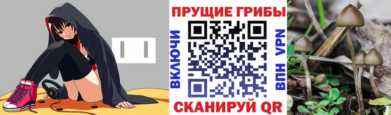 Галлюциногенные грибы Cubensis  Яблоновский 